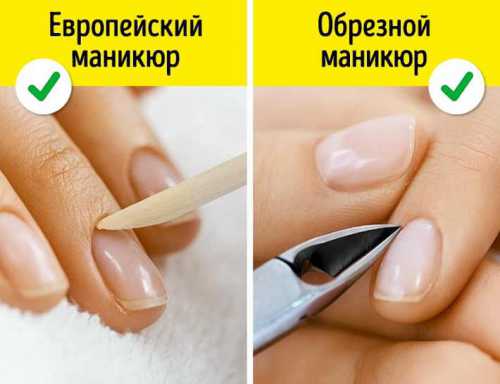 5 мифов о правильном питании, которые пора забыть 5 мифов о правильном питании, которые пора забыть